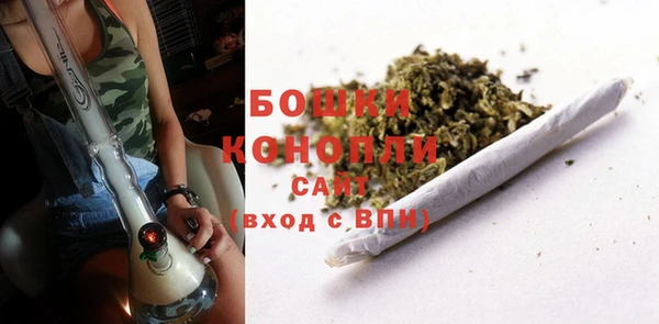 PSILOCYBIN Мегион