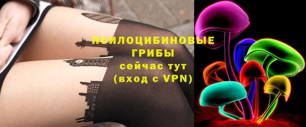 дживик Михайловск