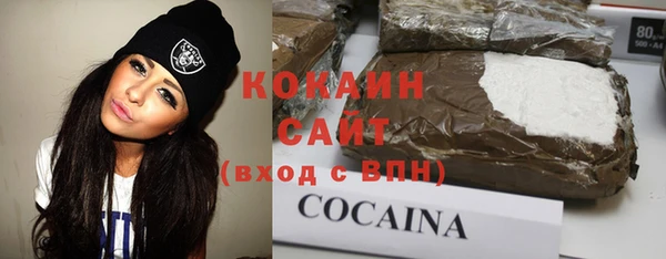 гашик Михайловка