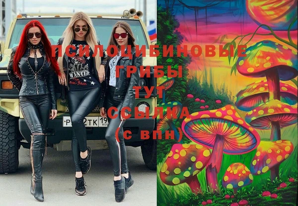 PSILOCYBIN Мегион
