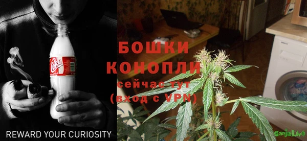 гашик Михайловка