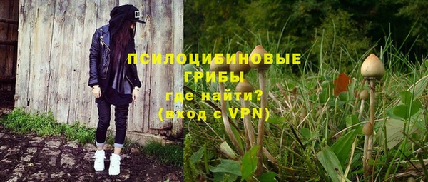 гашик Михайловка