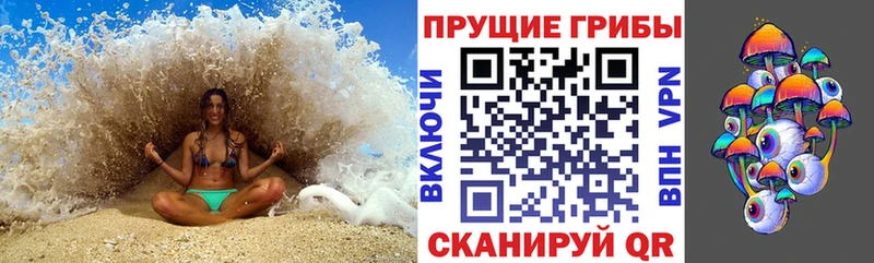 где купить наркоту  ОМГ ОМГ как зайти  Галлюциногенные грибы Psilocybine cubensis  Кирсанов 