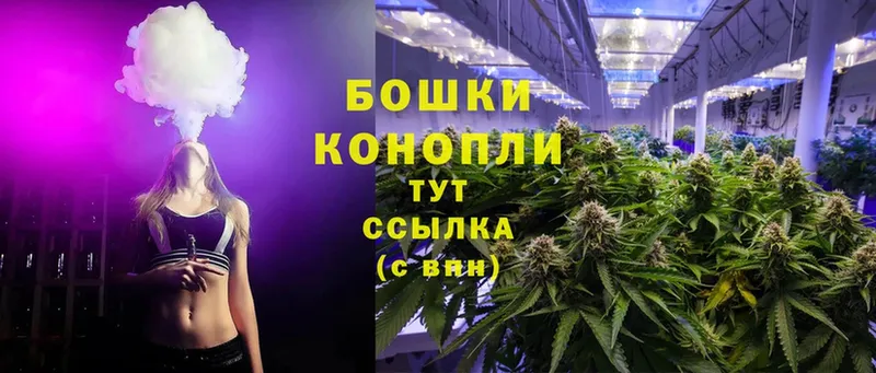 Марихуана SATIVA & INDICA  дарк нет как зайти  Кирсанов 